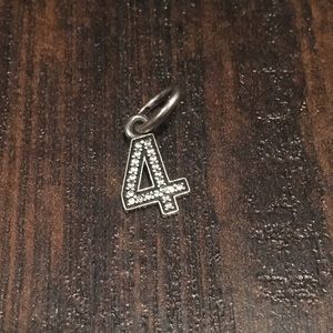 #4 pandora charm